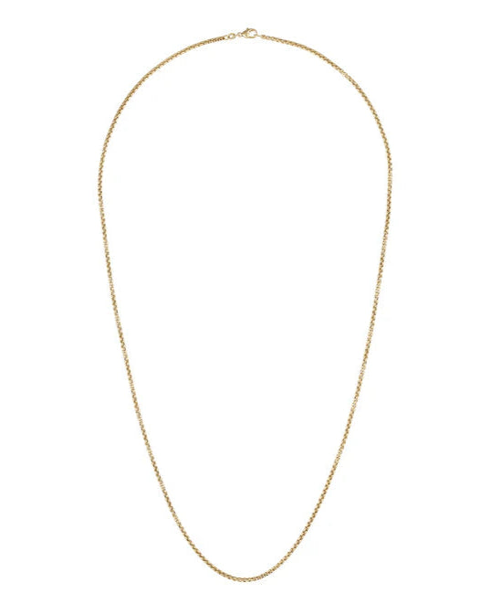 The Classic Rounded Box Chain, 14K Gold