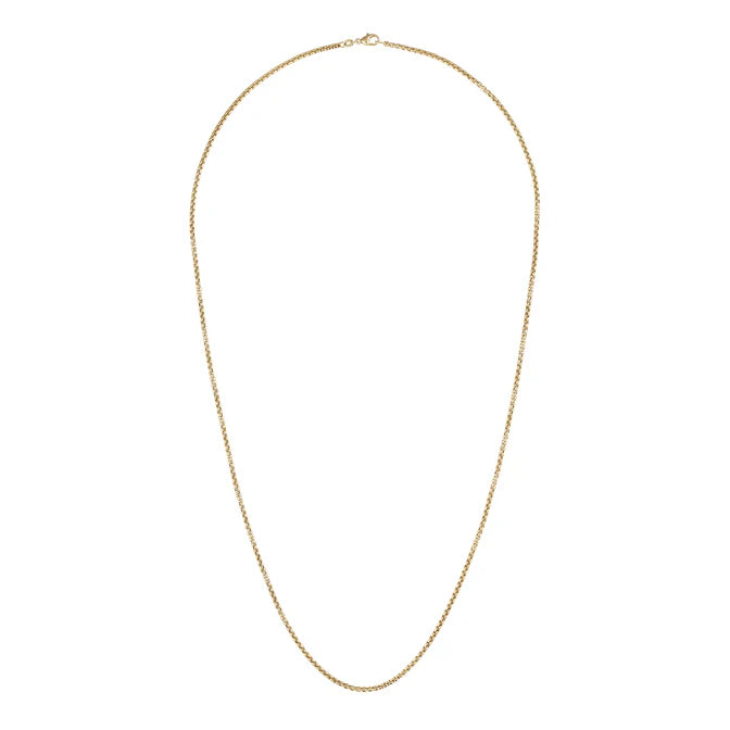 The Classic Rounded Box Chain, 14K Gold