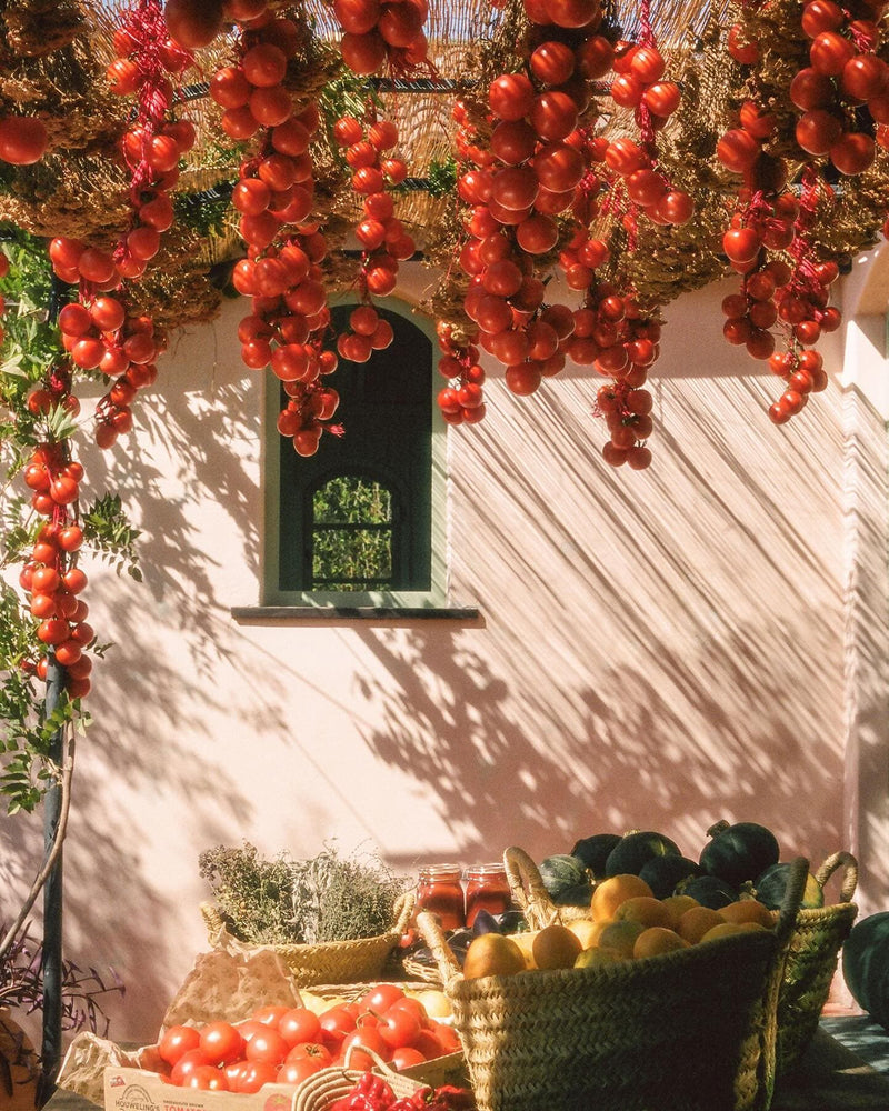 The Roma Heirloom Tomato XL Candle