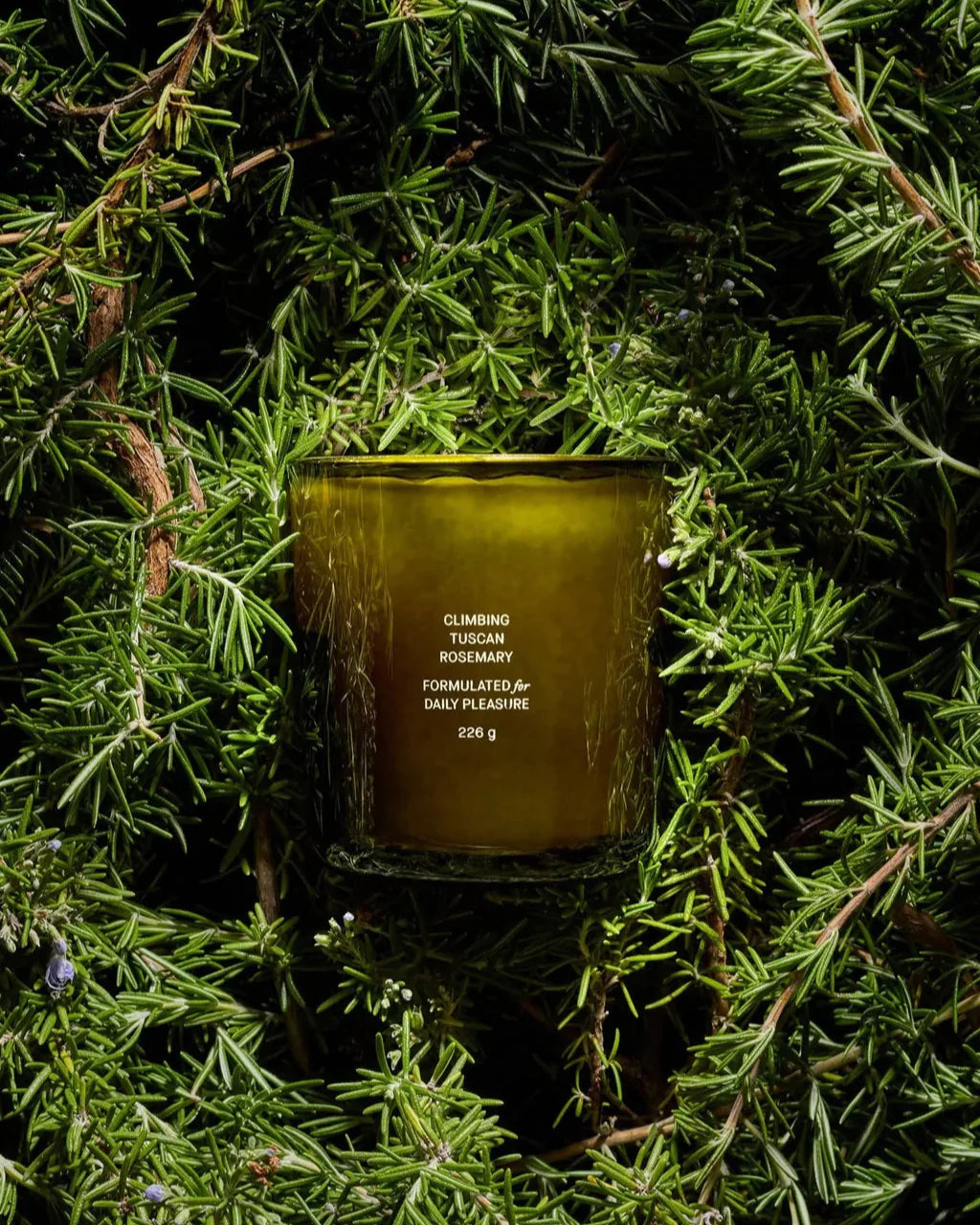Climbing Tuscan Rosemary Candle