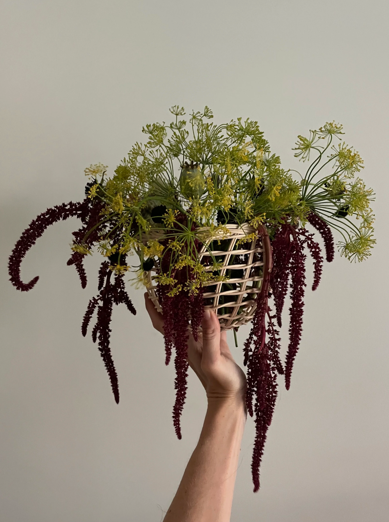 Sweet Onion Basket