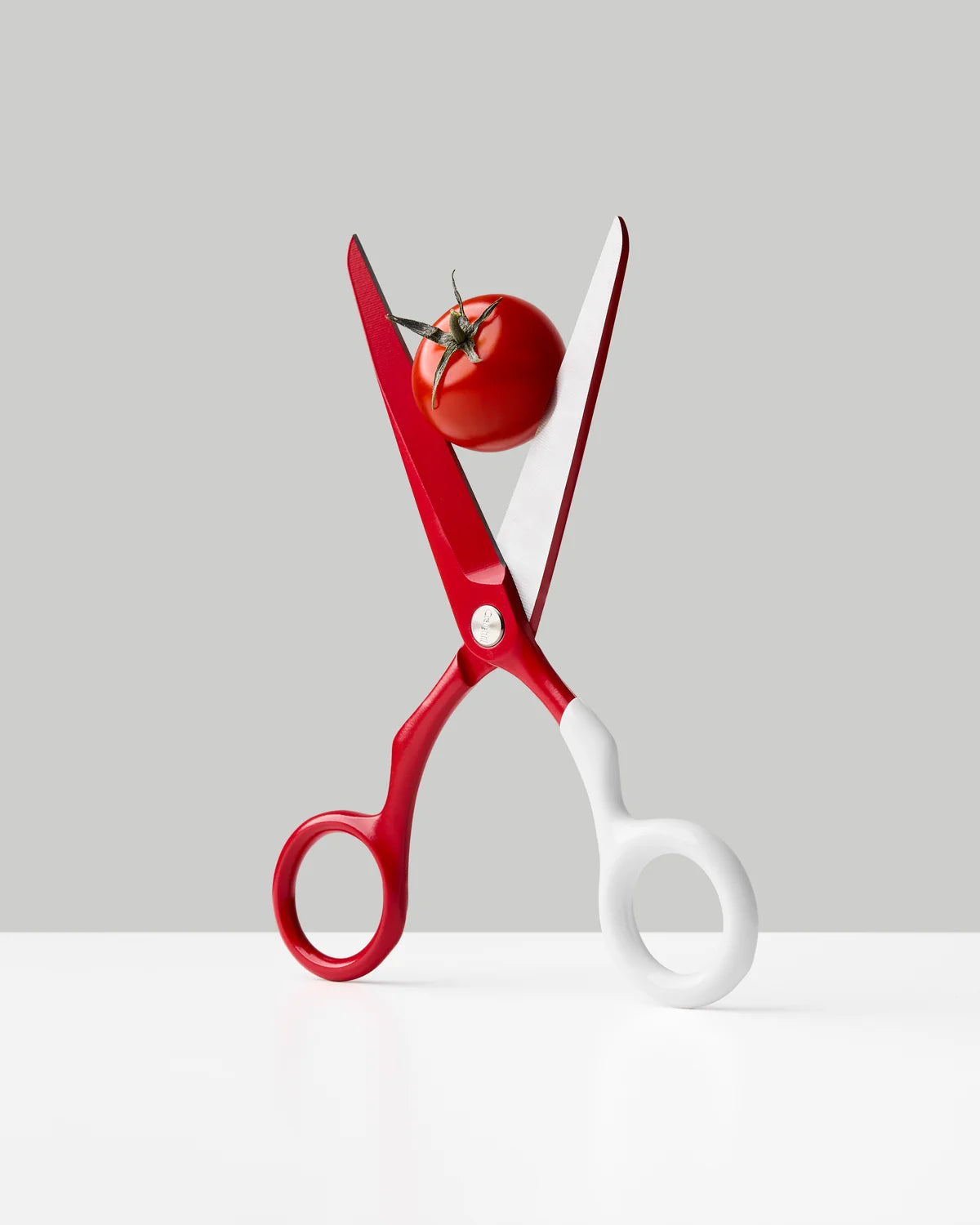 Spectra Scissors | Red + White