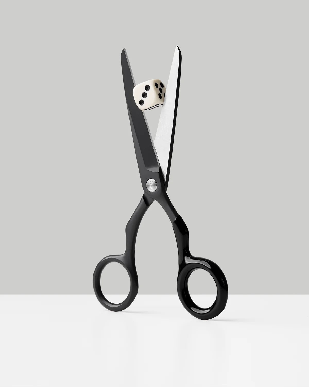 Spectra Scissors | Charcoal + Black