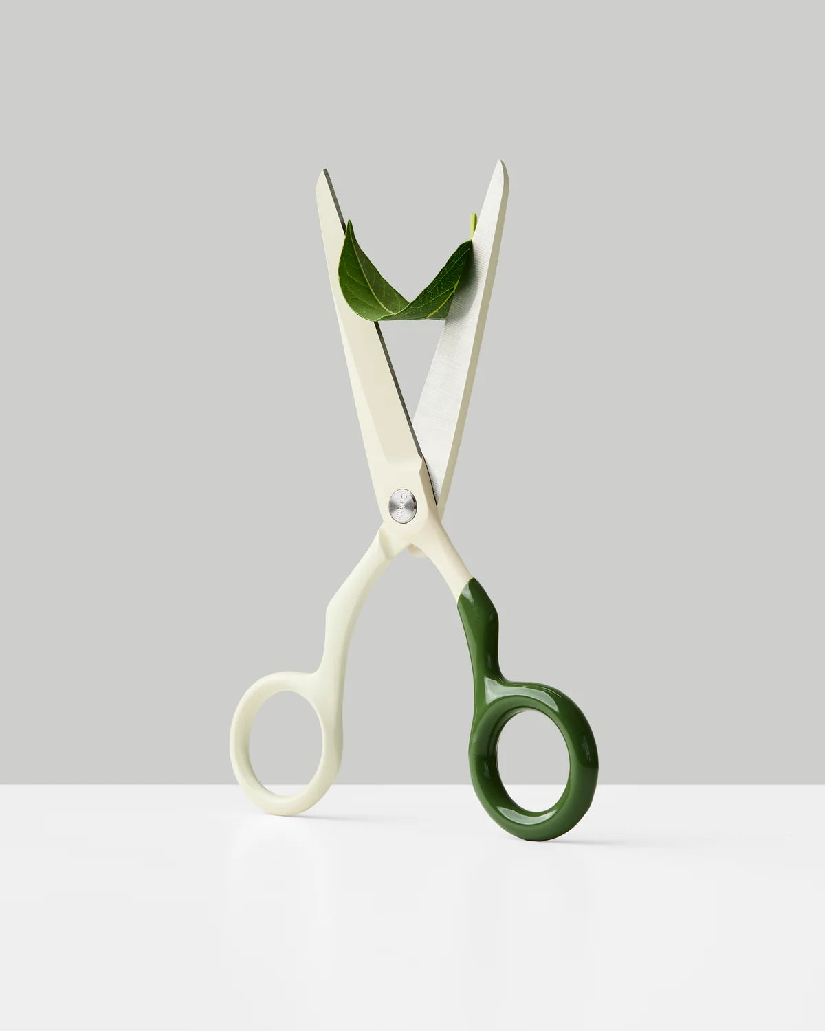 Spectra Scissors | Cream + Forest Green