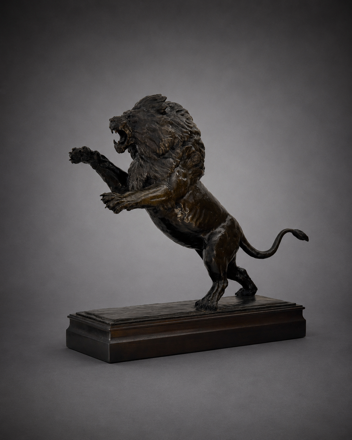 Fight Night - African Lion