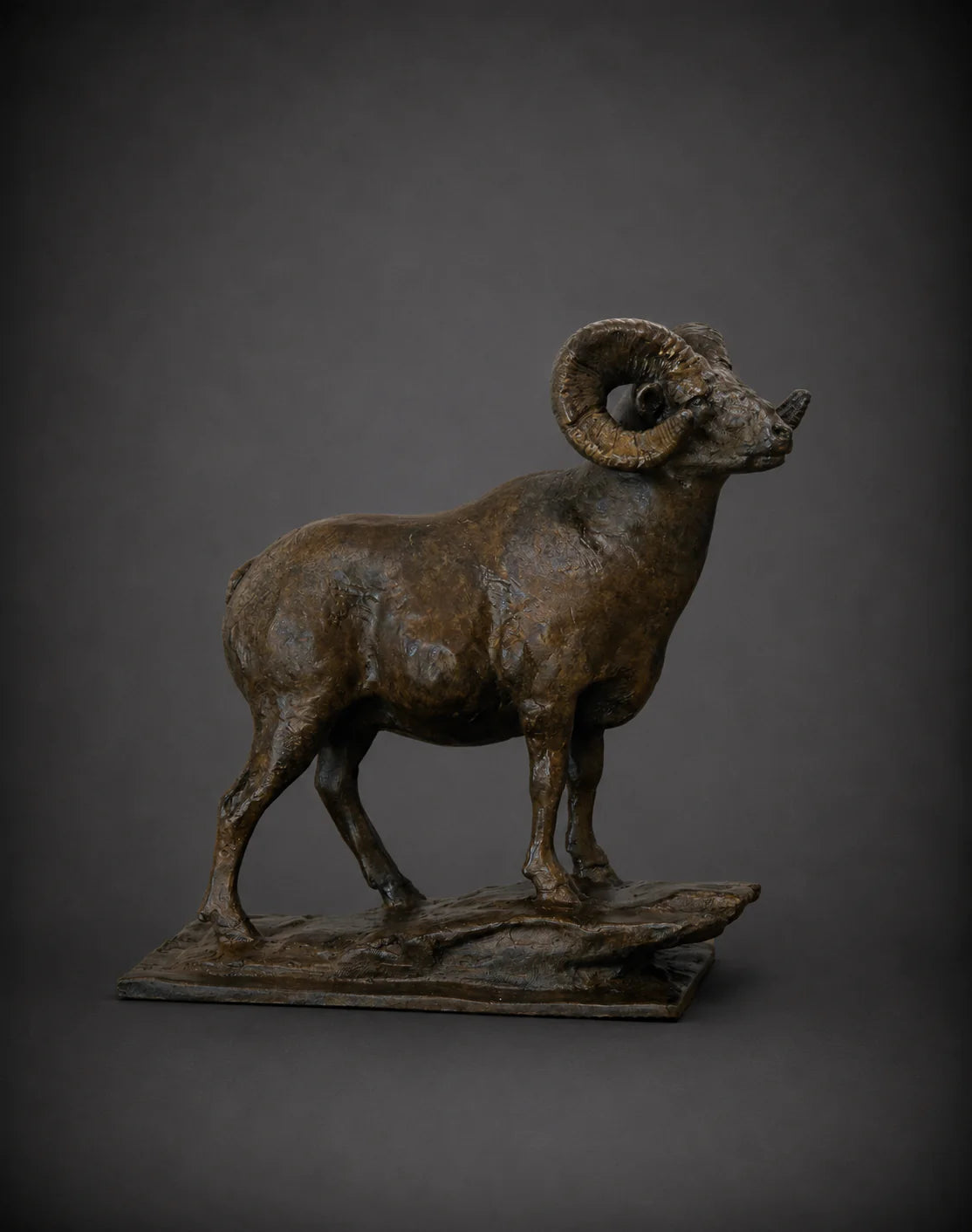 Montana Miniature Wildlife Series – Full Collection