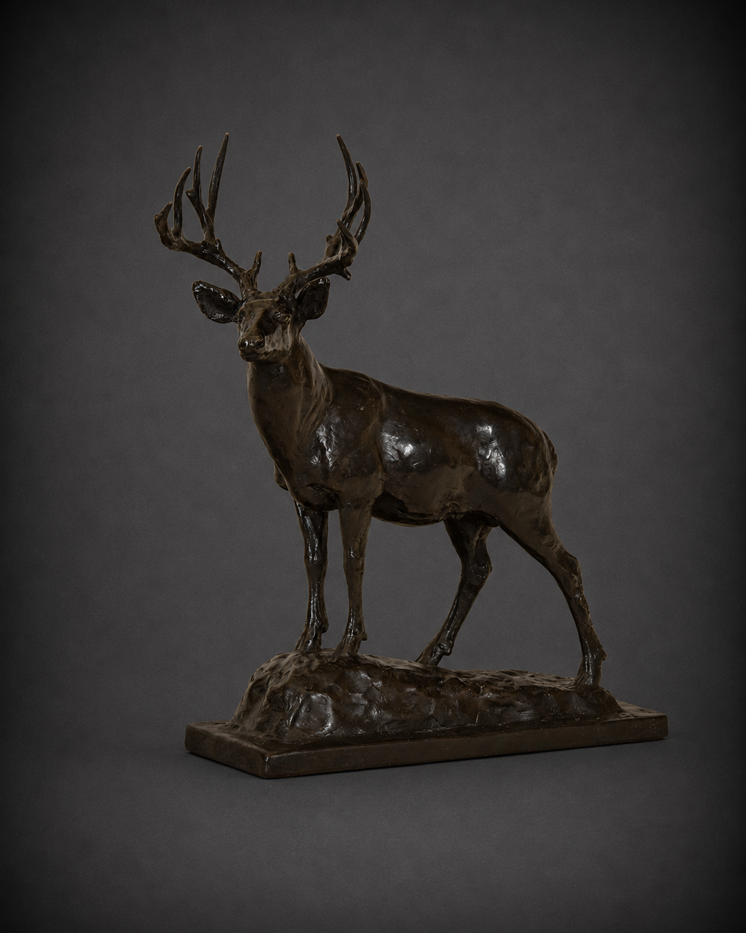 Mountain Muley – Mule Deer Buck