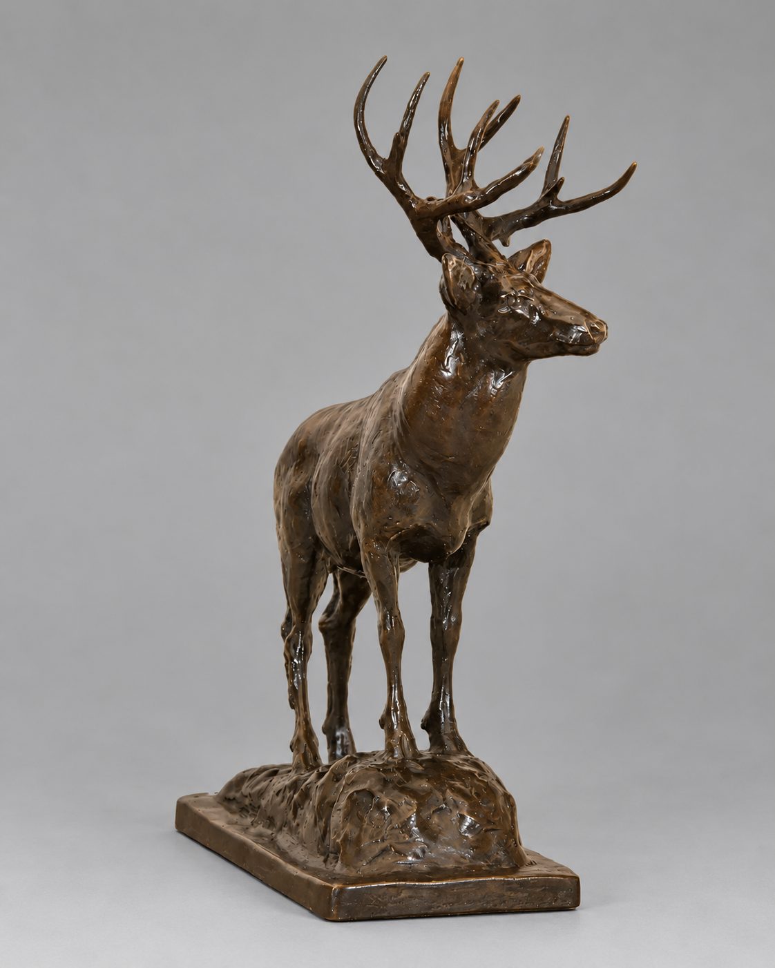 Mountain Muley – Mule Deer Buck