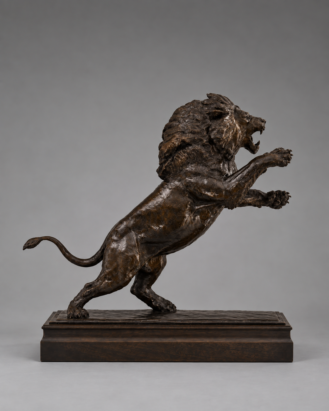 Fight Night - African Lion
