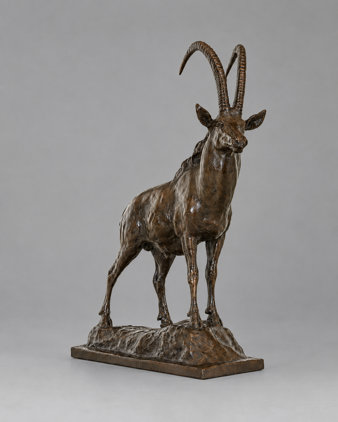 Sable – African Antelope