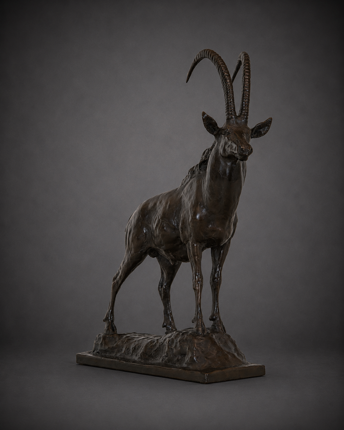 Sable – African Antelope