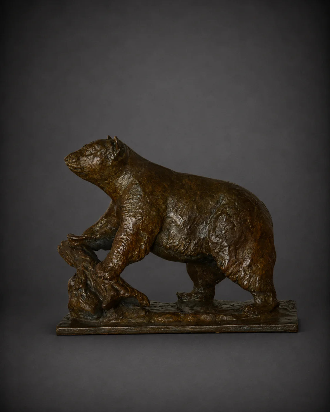 Montana Miniature Wildlife Series – Full Collection