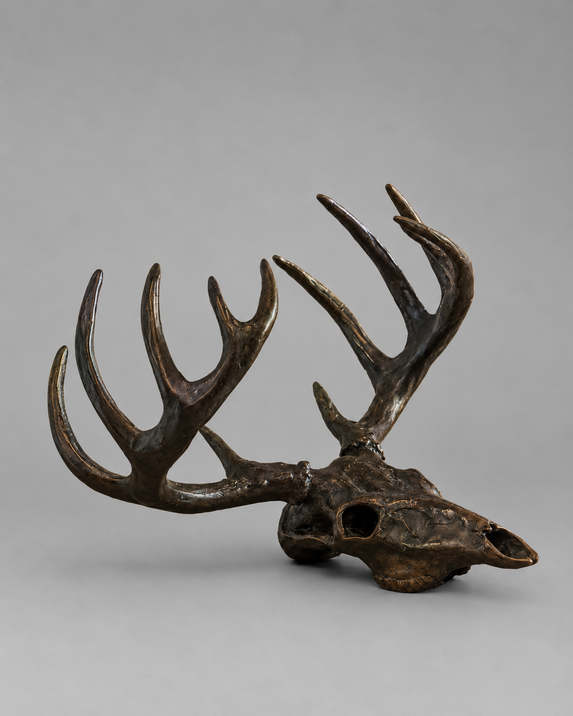 Whitetail Skull II