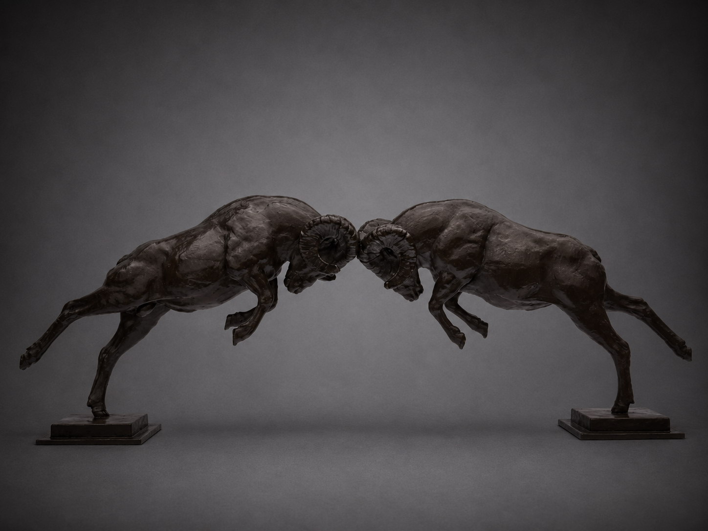 Prime Time – Bighorn Sheep