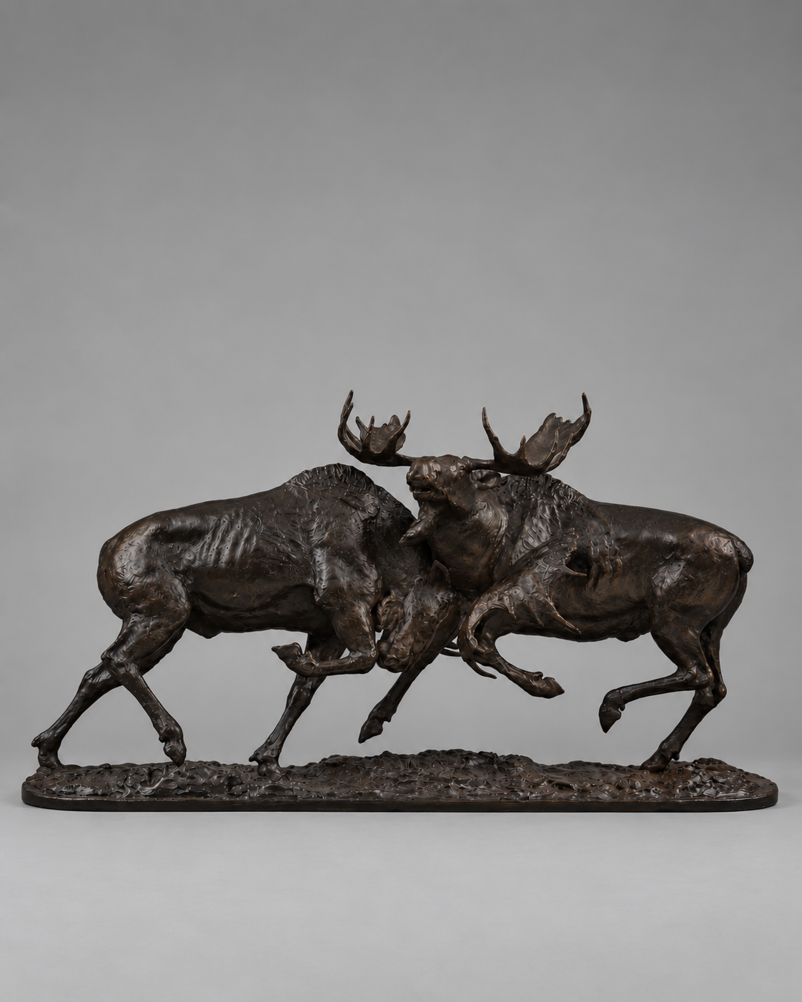 Prize Fighters – Bull Moose