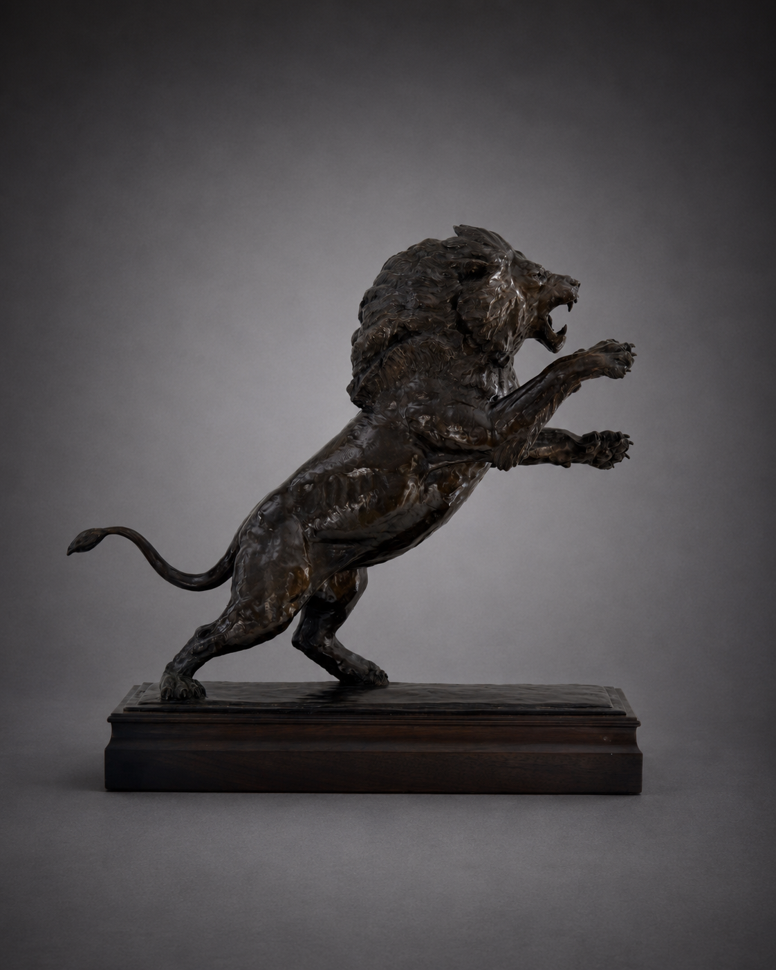Fight Night - African Lion