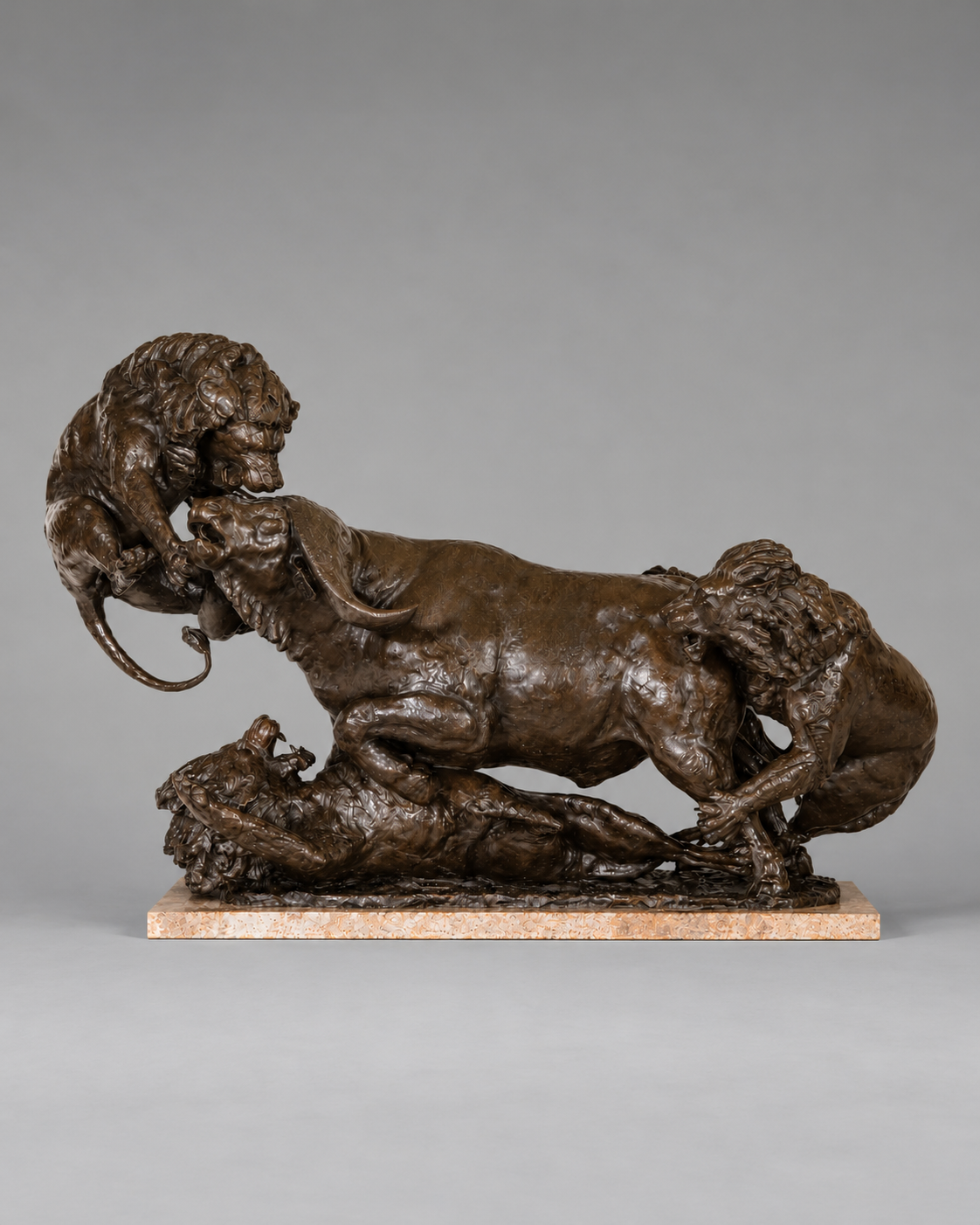 Battle Royale – African Lions Battling A Cape Buffalo Bull