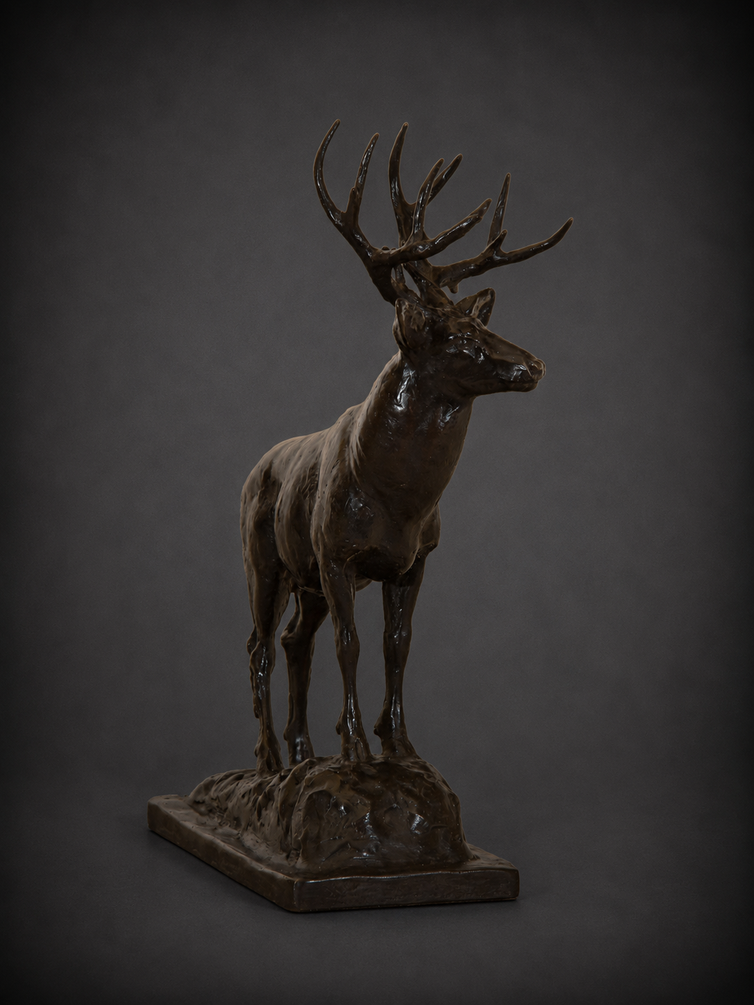 Mountain Muley – Mule Deer Buck