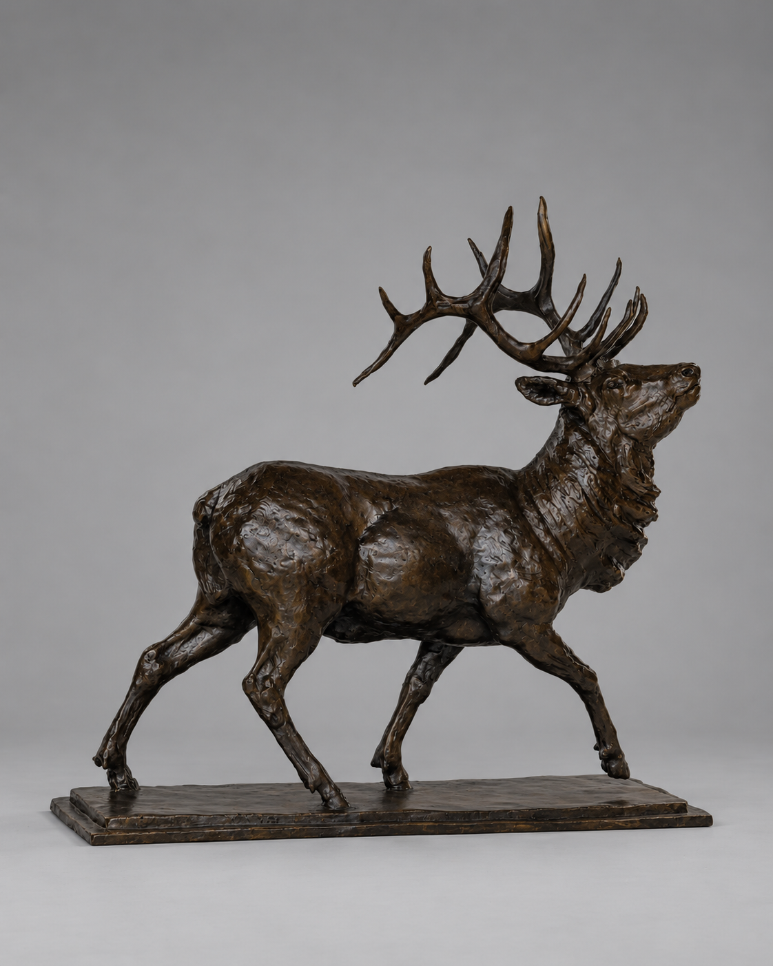 Walking Tall - Bull Elk