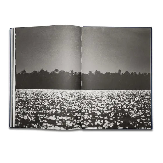 Pierrot ‏‏‎ ‎— ‏‏‎ ‎Tropisms, First Edition - FORSYTH