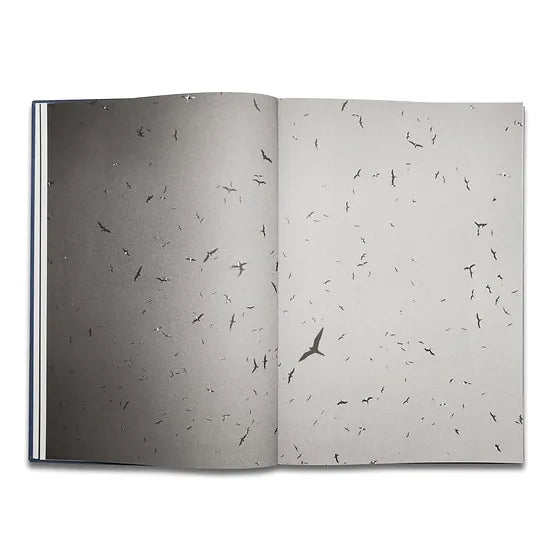 Pierrot ‏‏‎ ‎— ‏‏‎ ‎Tropisms, First Edition - FORSYTH