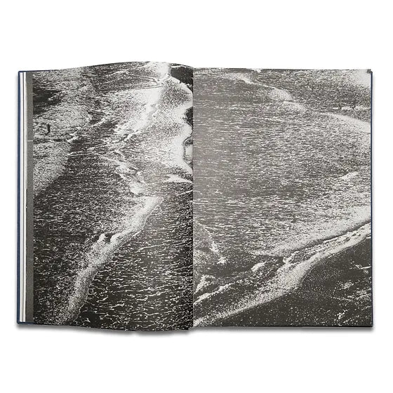 Pierrot ‏‏‎ ‎— ‏‏‎ ‎Tropisms, First Edition - FORSYTH