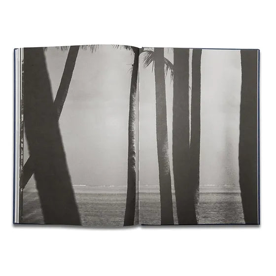 Pierrot ‏‏‎ ‎— ‏‏‎ ‎Tropisms, First Edition - FORSYTH