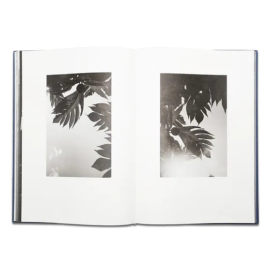 Pierrot ‏‏‎ ‎— ‏‏‎ ‎Tropisms, First Edition - FORSYTH