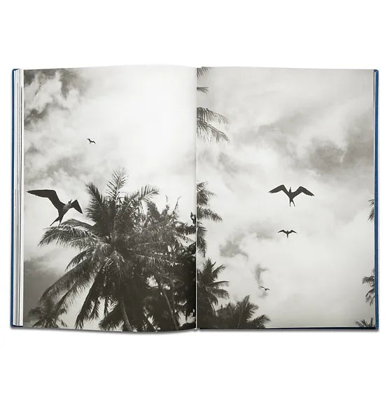 Pierrot ‏‏‎ ‎— ‏‏‎ ‎Tropisms, First Edition - FORSYTH