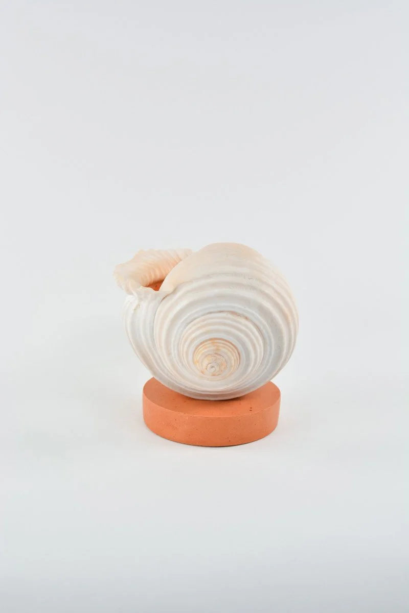 L'Escargot Incense Vessel Gift Set in Terra Cotta