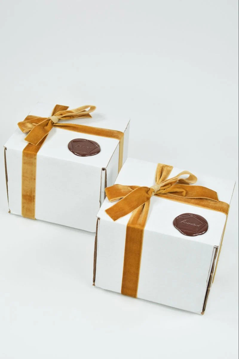 L'Escargot Incense Vessel Gift Set in Terra Cotta