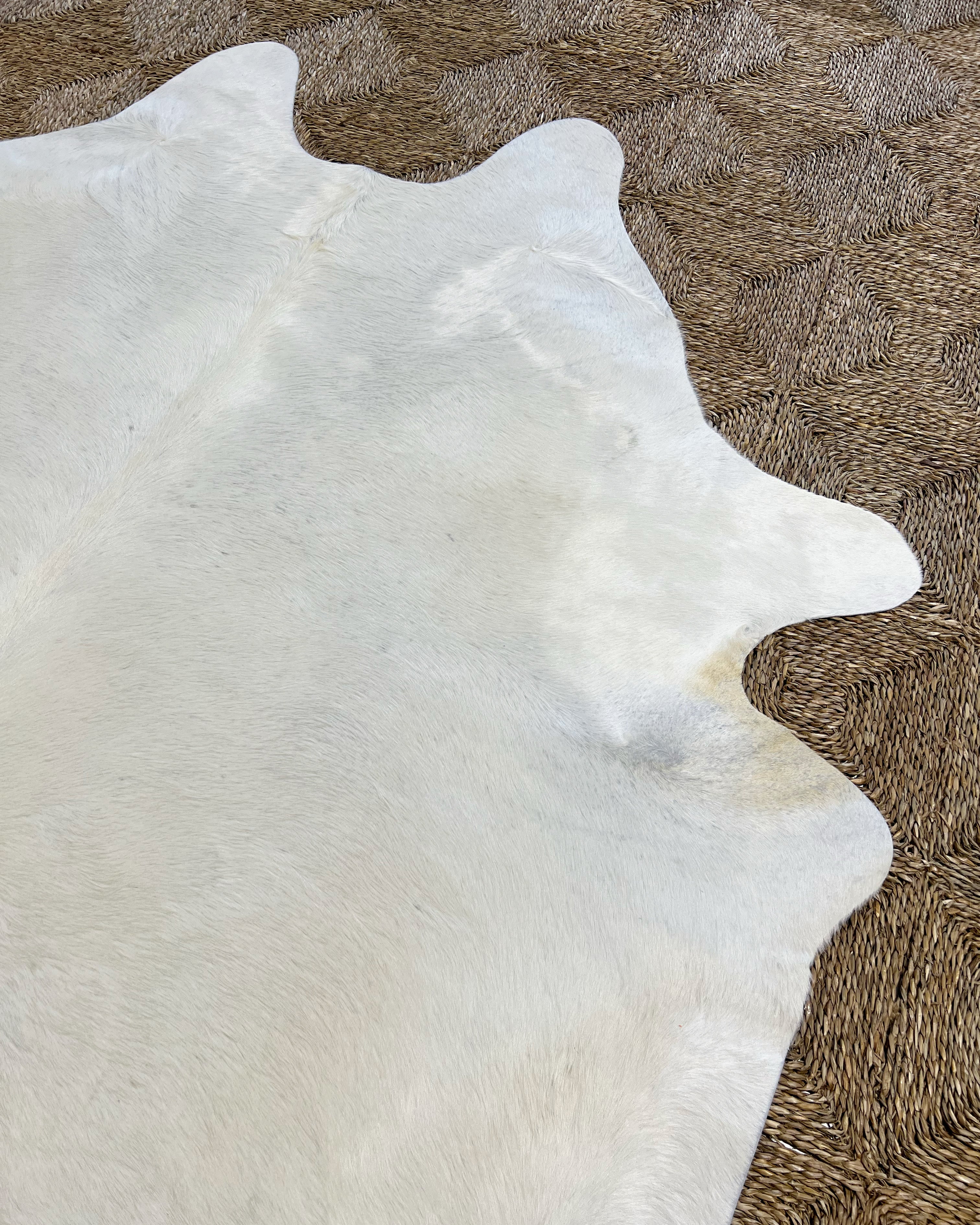 Brazilian Cowhide Rug, Ivory, No. 7