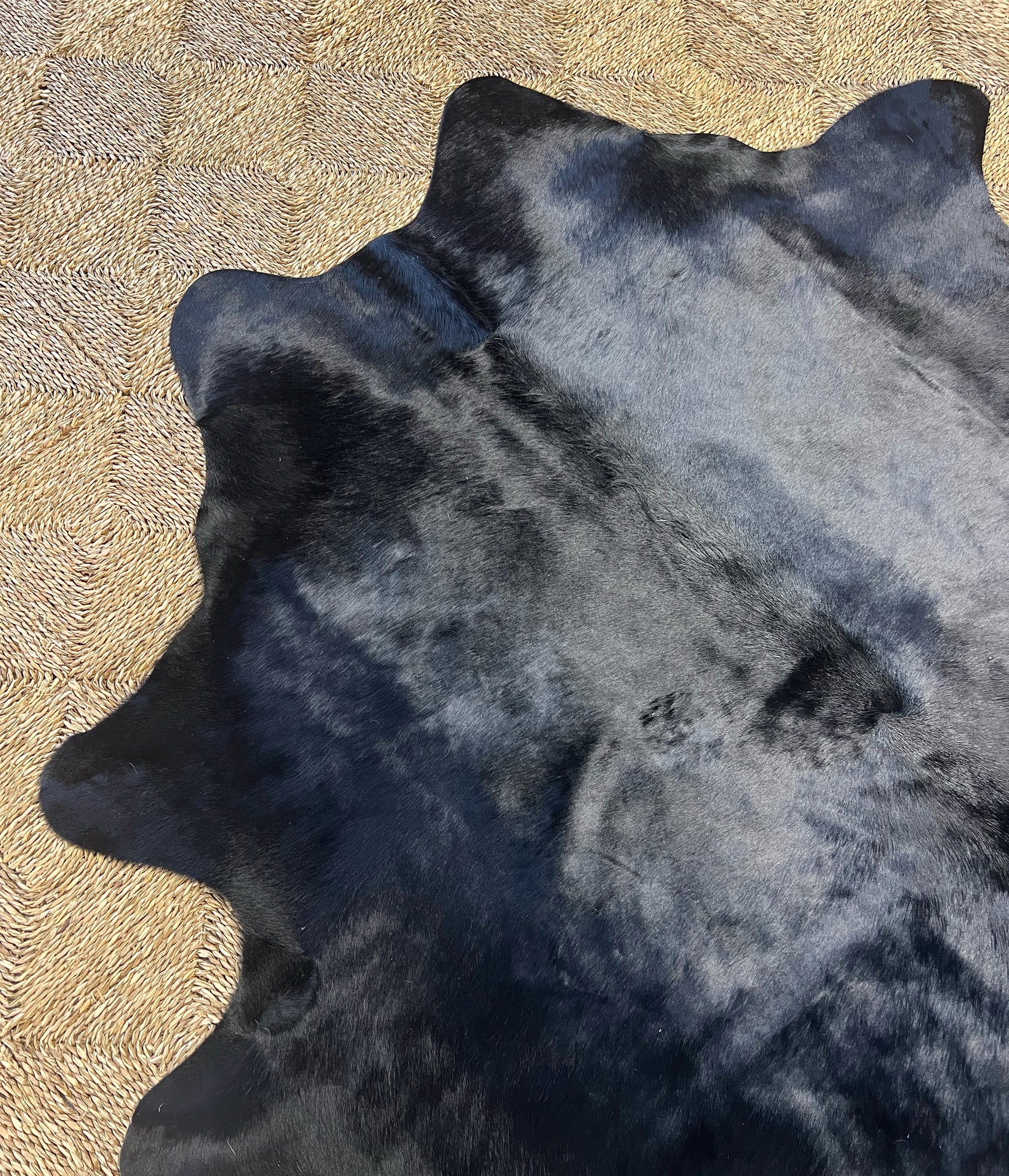 Brazilian Cowhide Rug, Black, No. 3