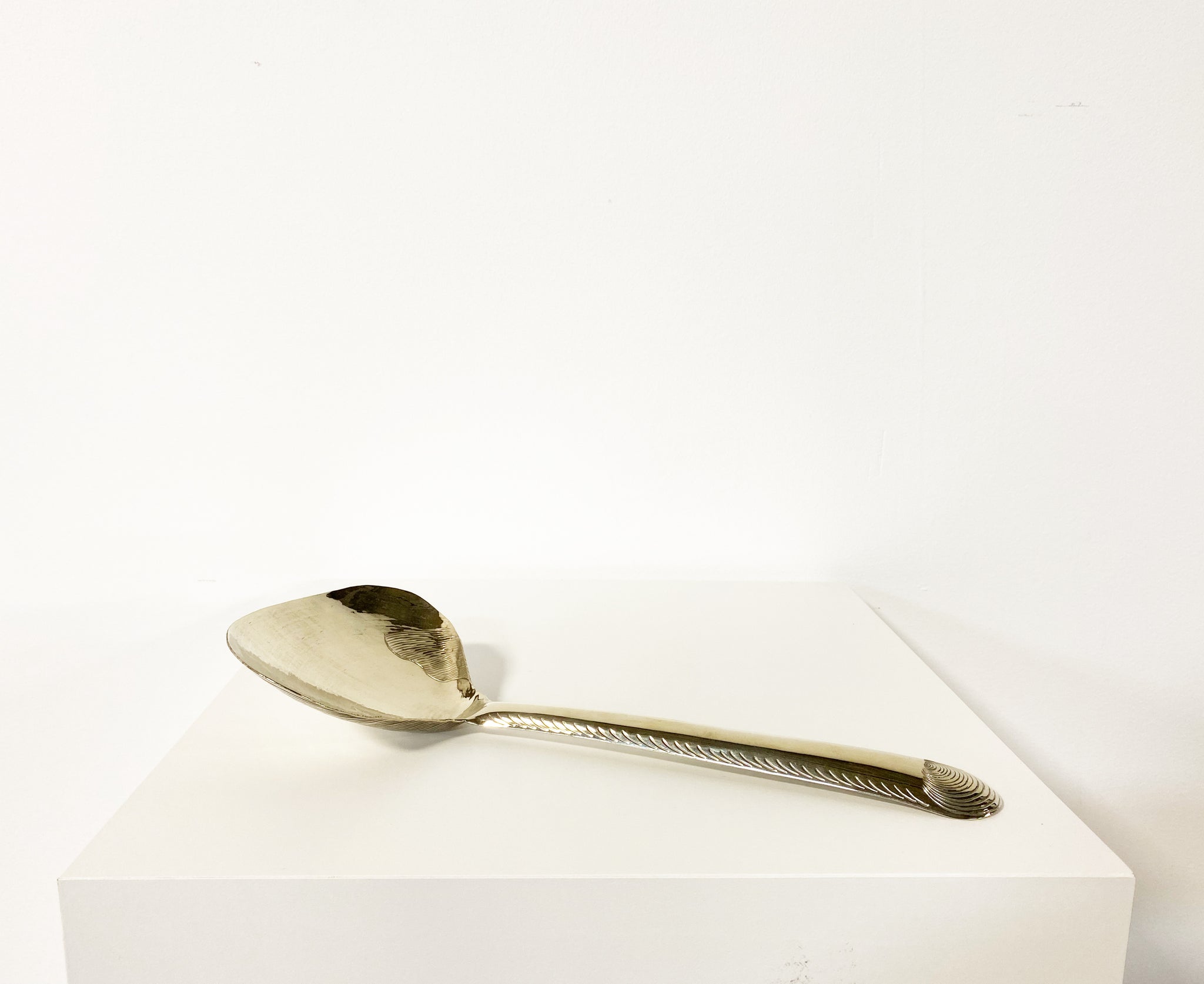 Clam Shell Spoon