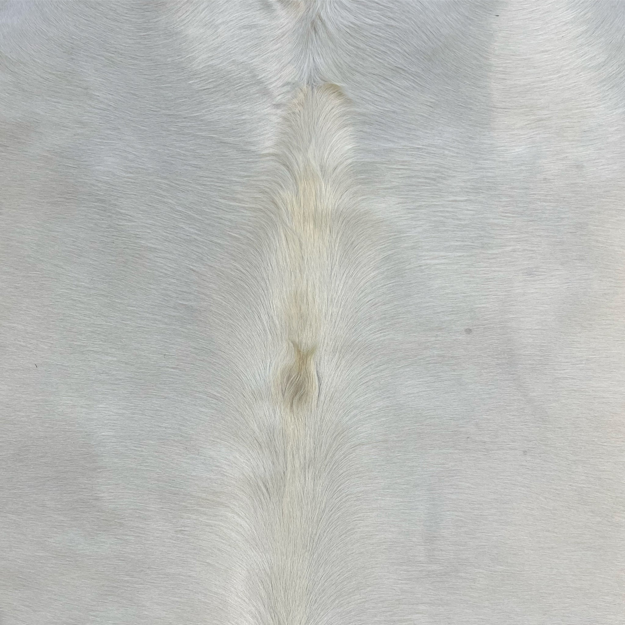 Brazilian Cowhide Rug, Ivory, No. 8