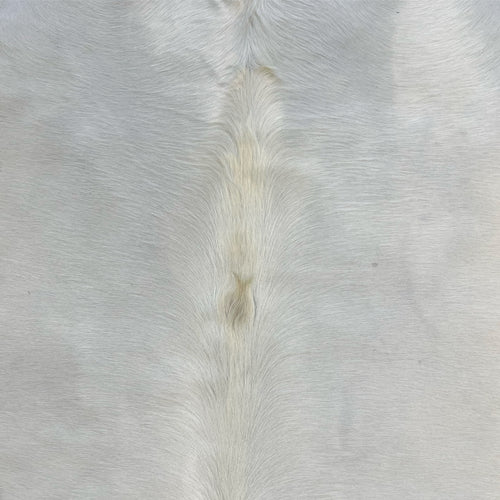 Brazilian Cowhide Rug, Ivory, No. 8