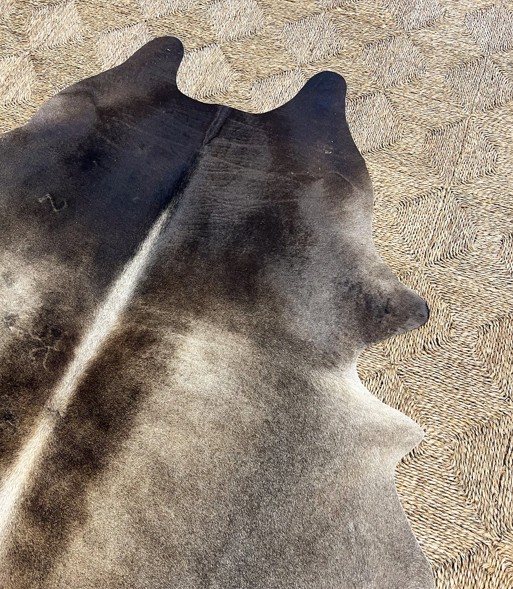 Brazilian Cowhide Rug, Salt and Pepper Brown, No. 4