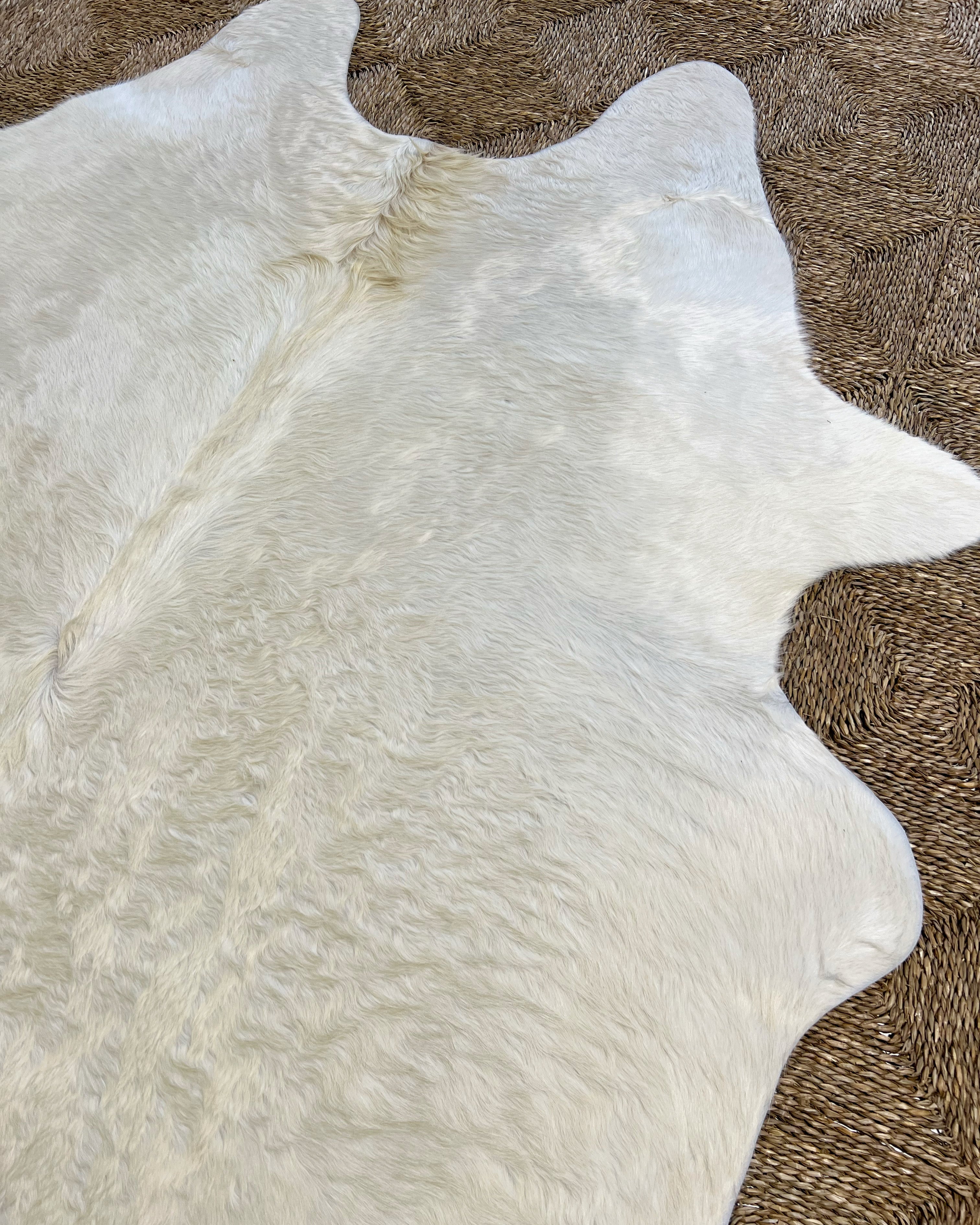 Brazilian Cowhide Rug, Ivory, No. 11