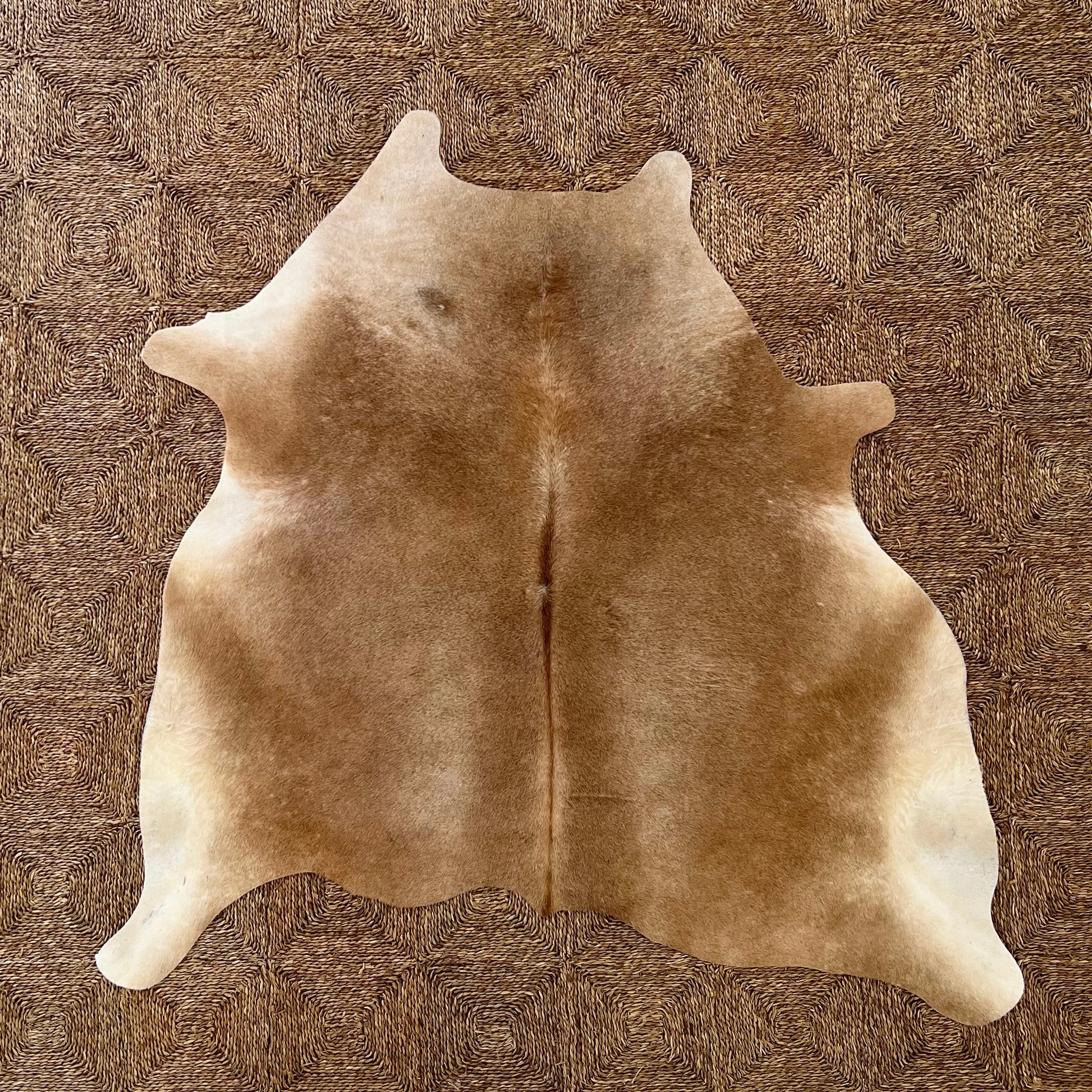 Brazilian Cowhide Rug, Palomino, No. 13