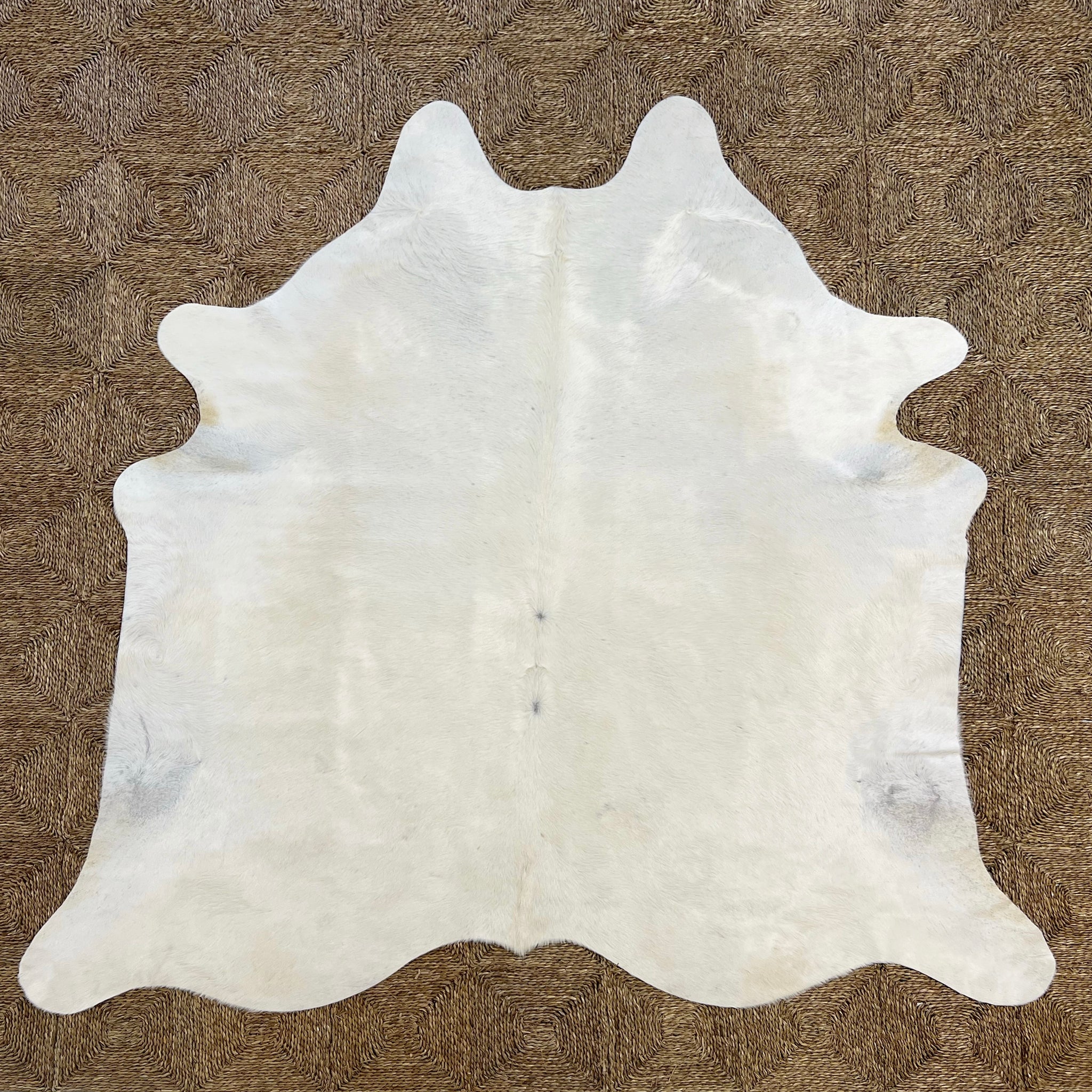 Brazilian Cowhide Rug, Ivory, No. 7