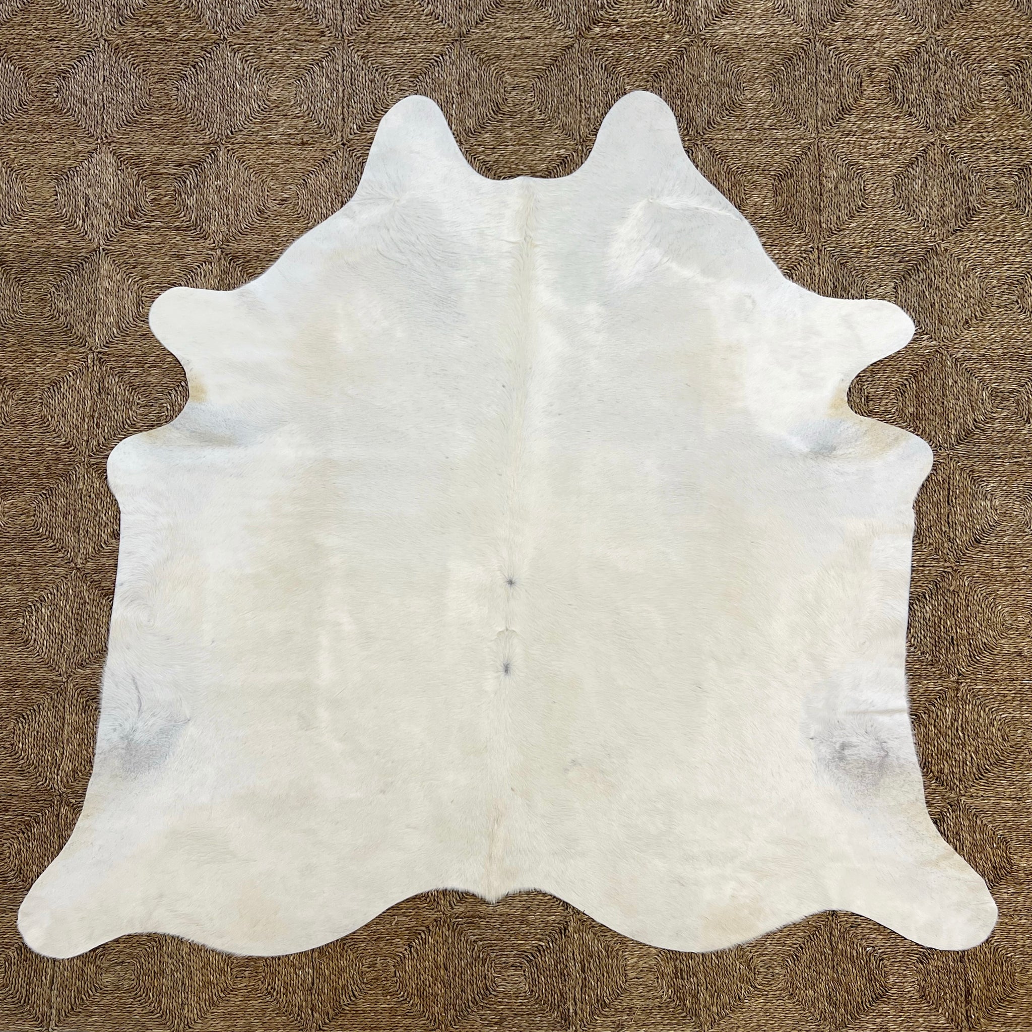 Brazilian Cowhide Rug, Ivory, No. 7