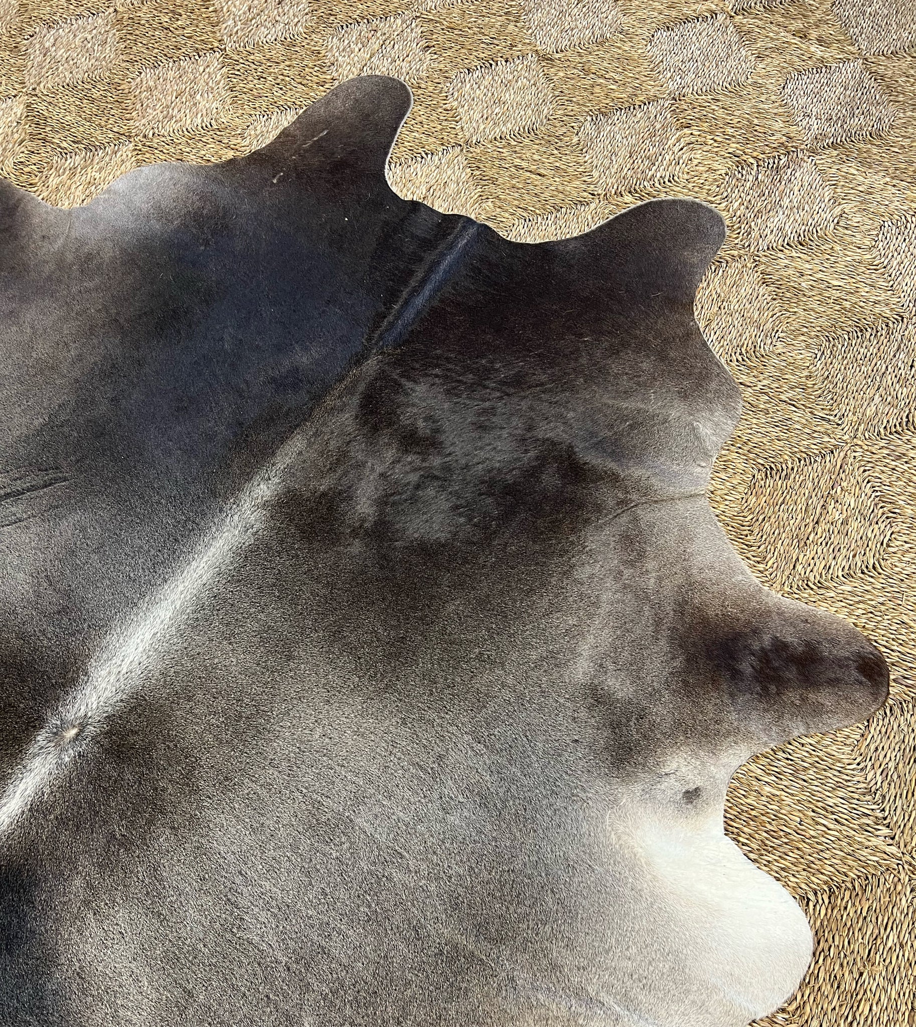 Brazilian Cowhide Rug, Salt and Pepper Brown, No. 6