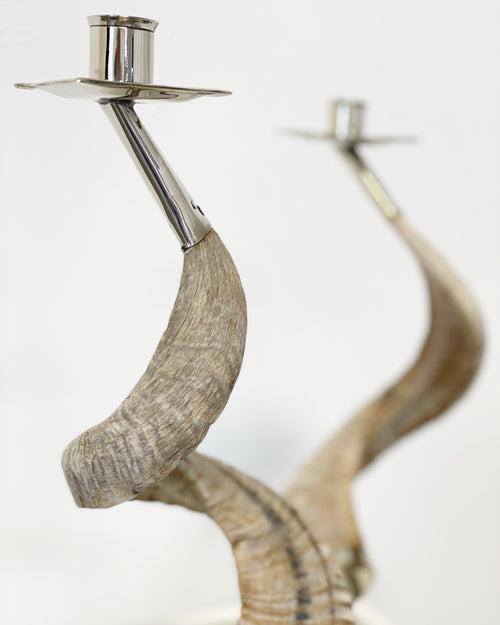 Large Horn and Silver Candlesticks, Pair