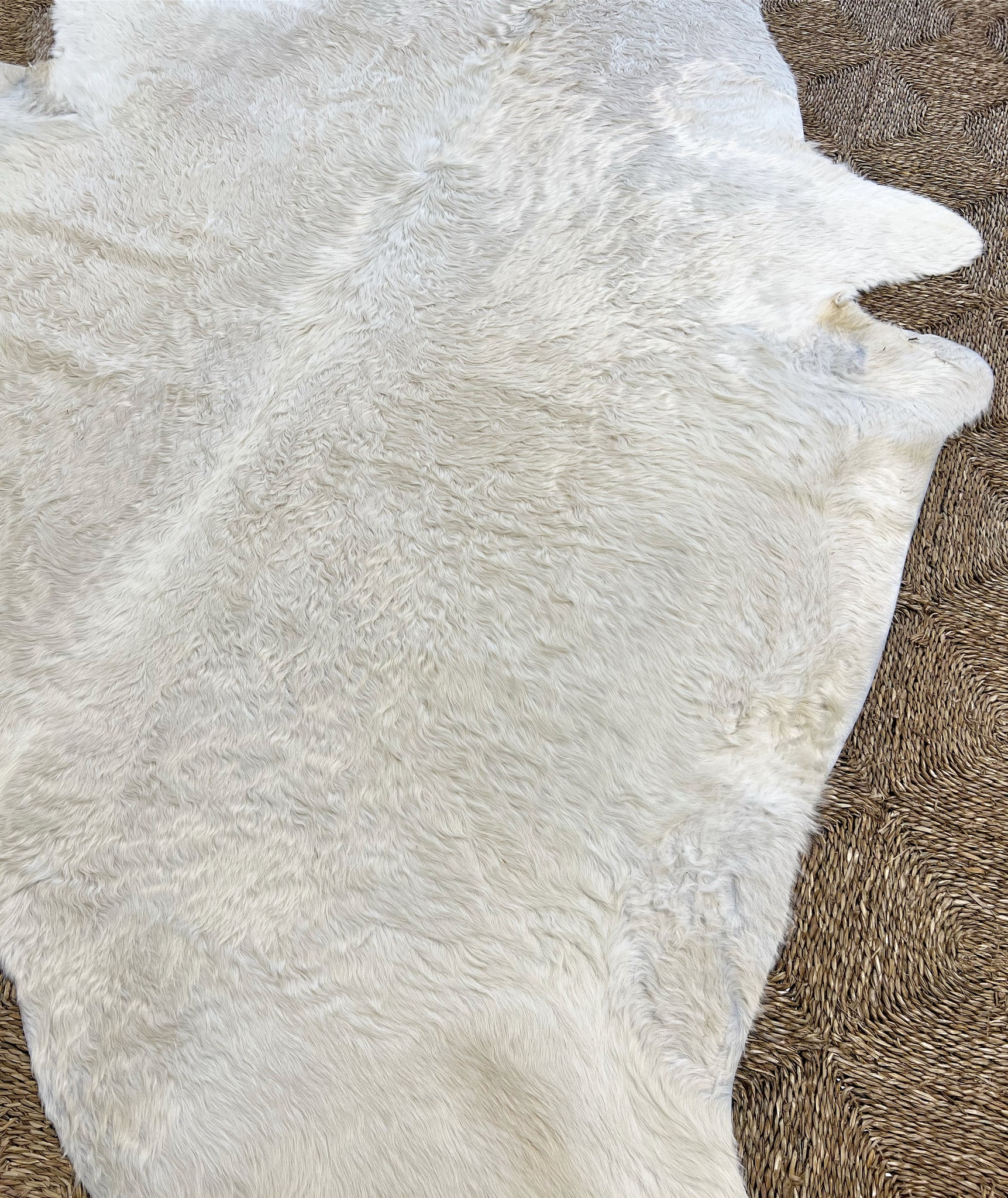 Brazilian Cowhide Rug, Ivory, No. 17