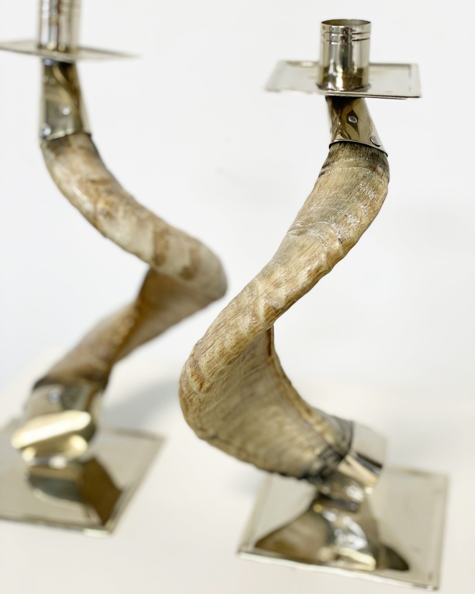 Horn and Silver Candlesticks, Pair