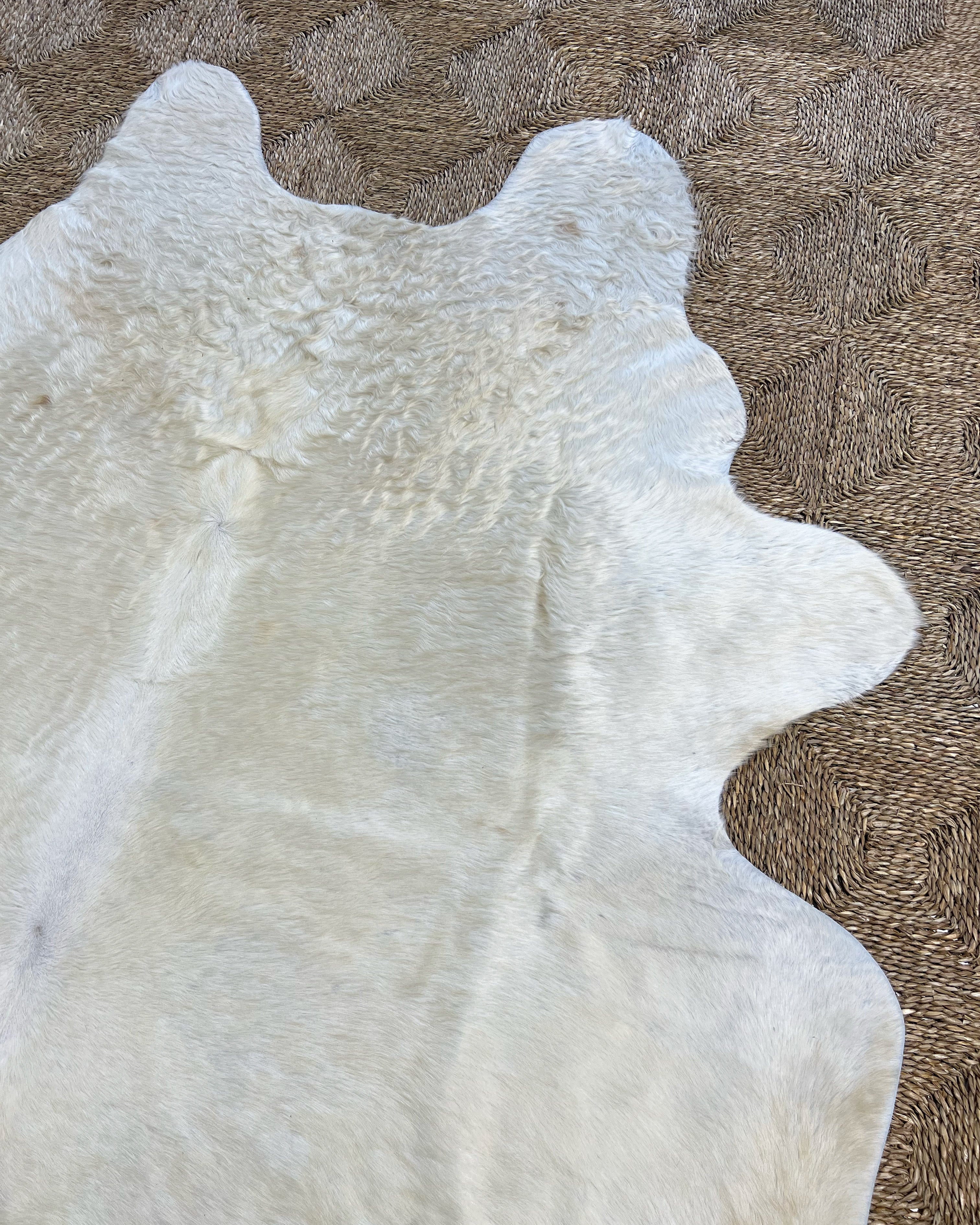 Brazilian Cowhide Rug, Ivory, No. 19