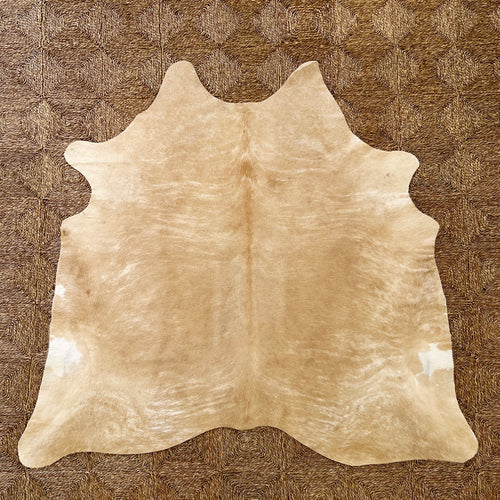 Brazilian Cowhide Rug, Palomino, No. 7