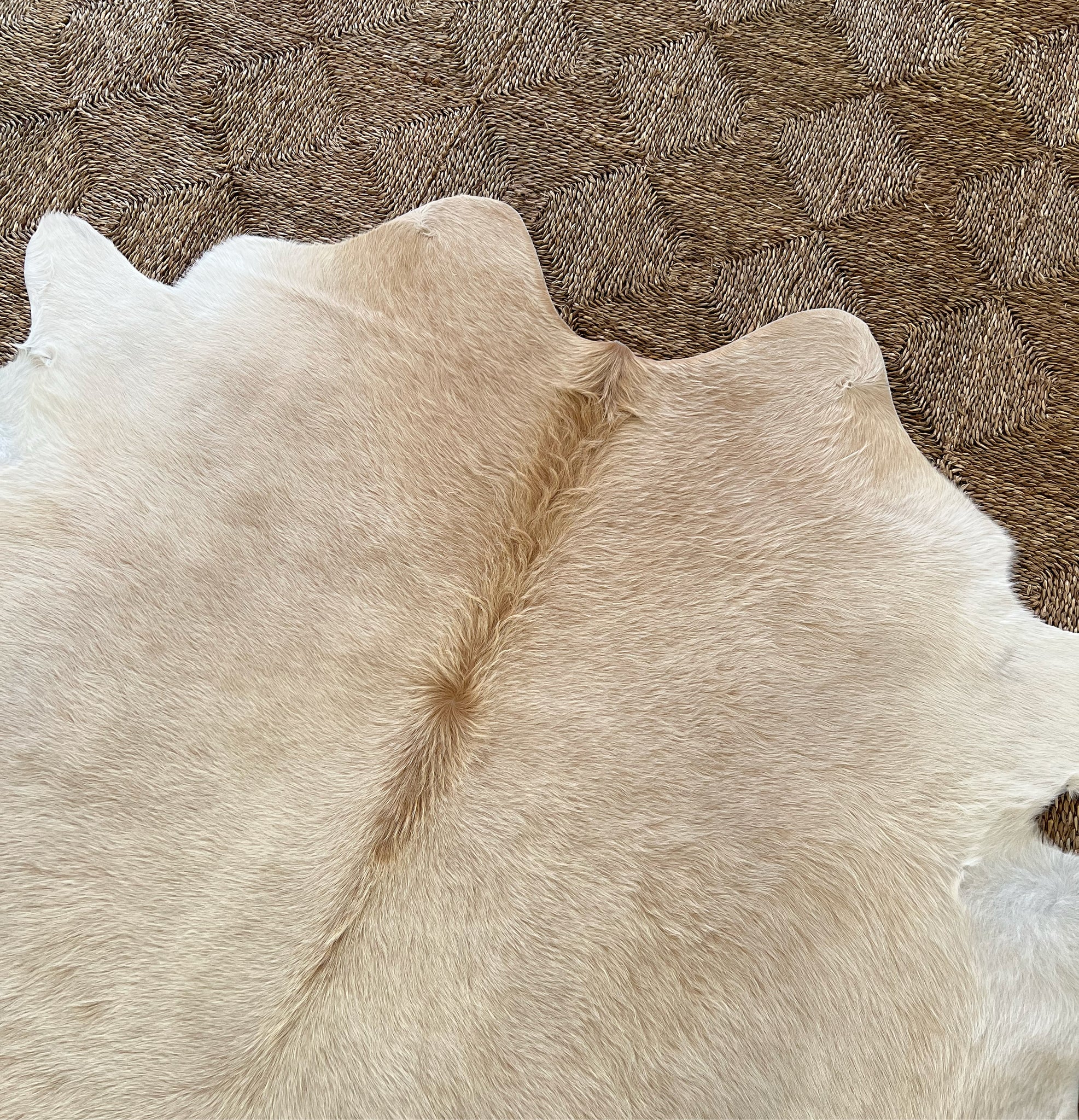 Brazilian Cowhide Rug, Palomino, No. 6