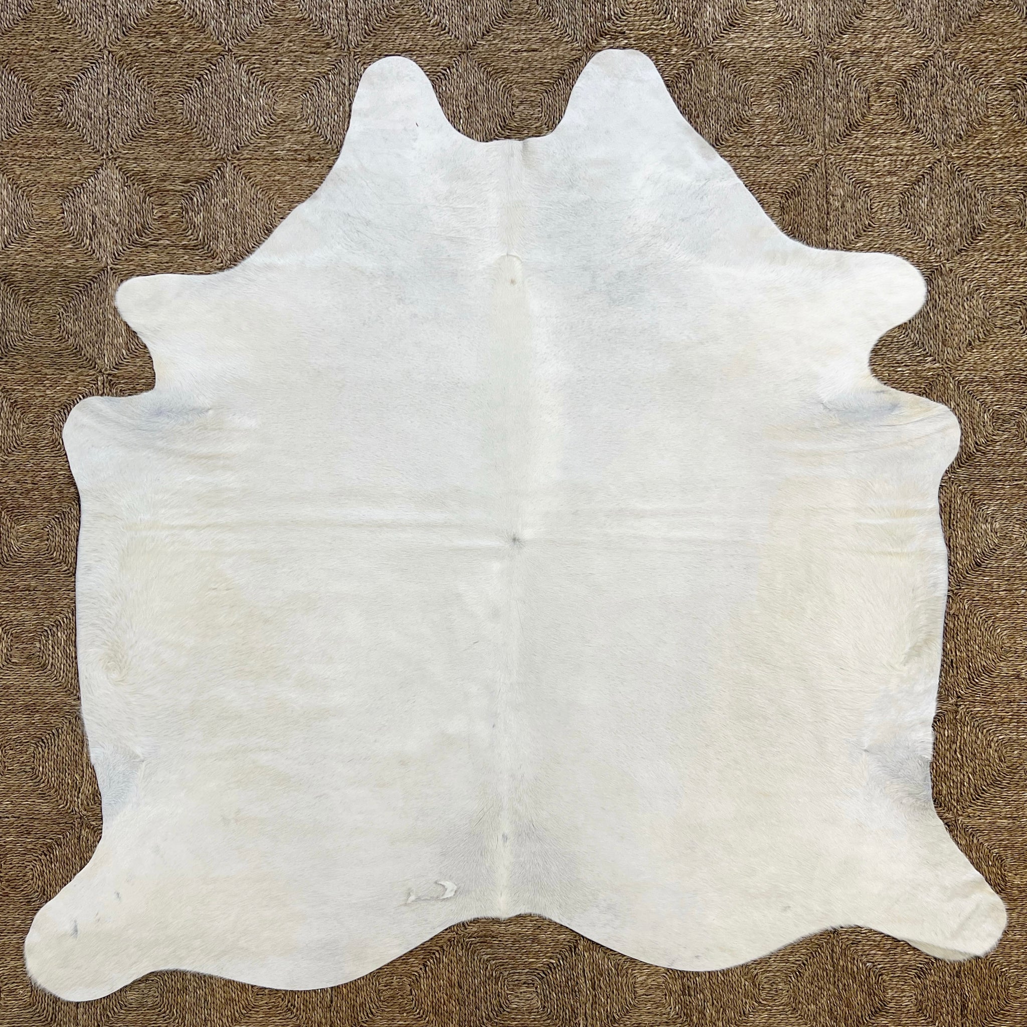 Brazilian Cowhide Rug, Ivory, No. 4
