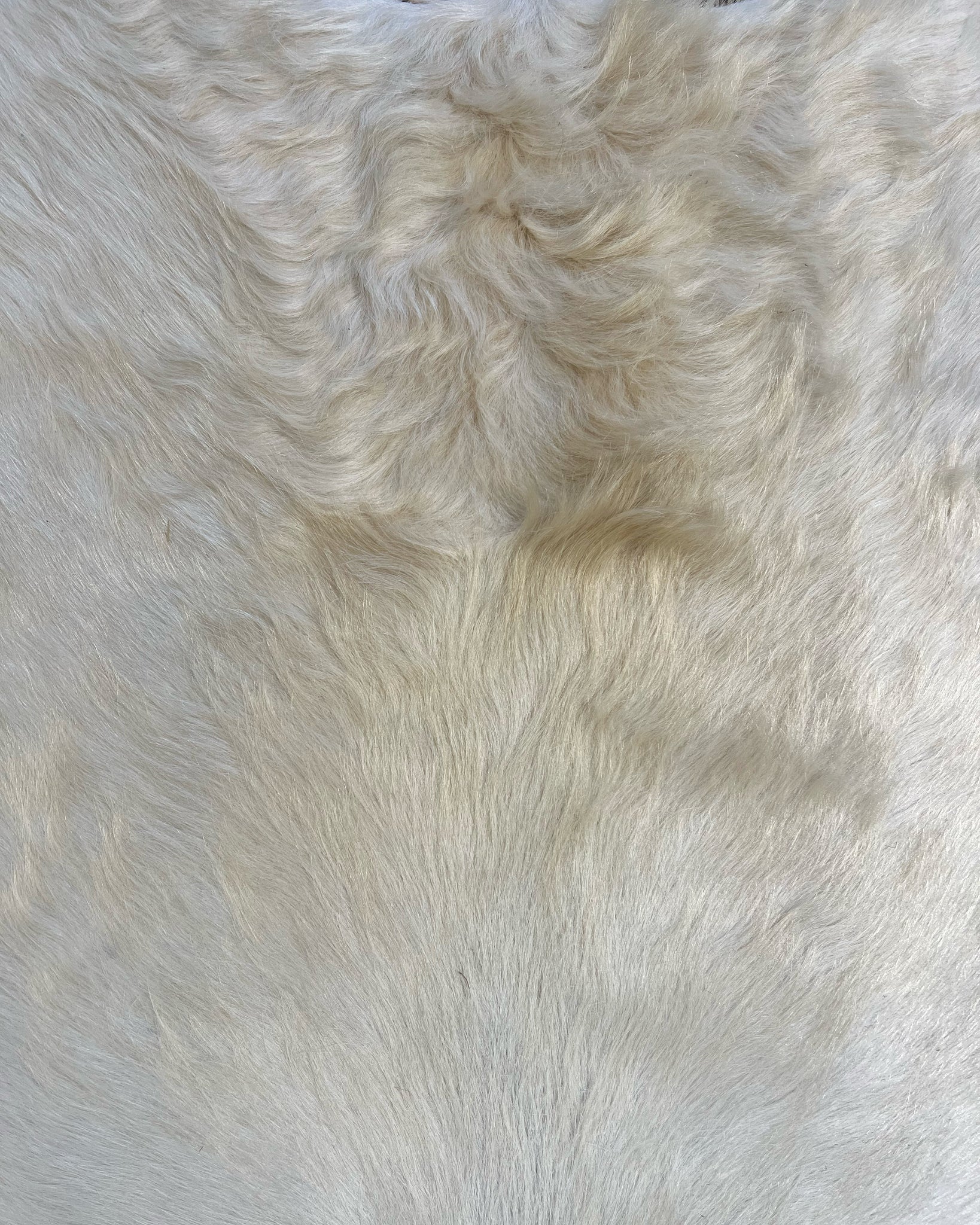 Brazilian Cowhide Rug, Ivory, No. 9